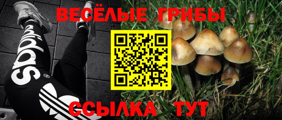 Псилоцибиновые грибы Cubensis Воркута