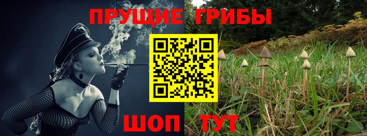 Воркута  Псилоцибиновые грибы мицелий  Вход с VPN 