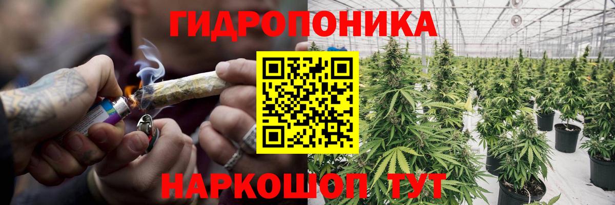 Марихуана марихуана Воркута